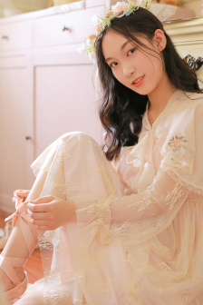 疯狂的蠢贼